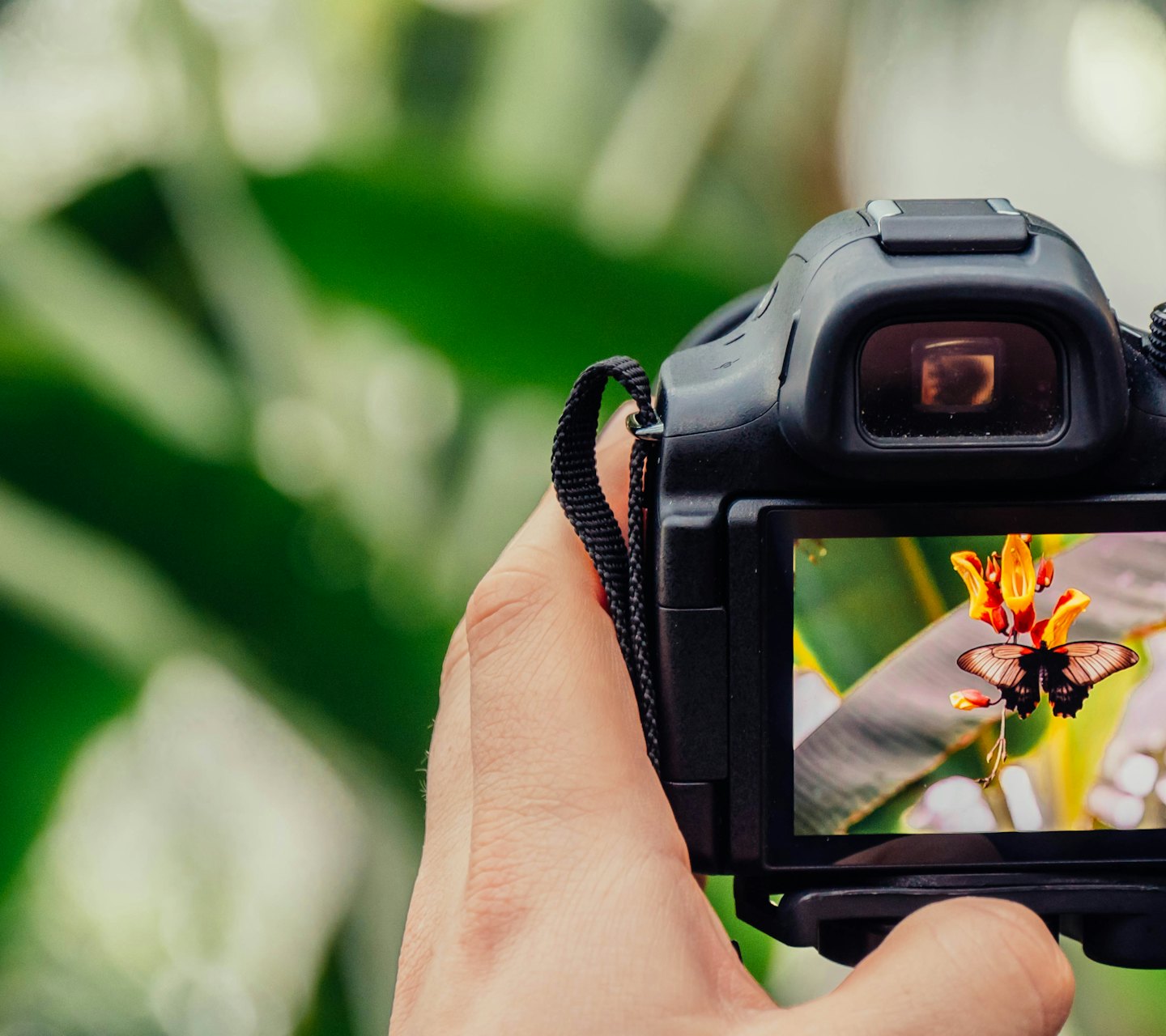 Gallery 1 76ee78d6dc0c7ac939a23c5042c50a80ec6120d7